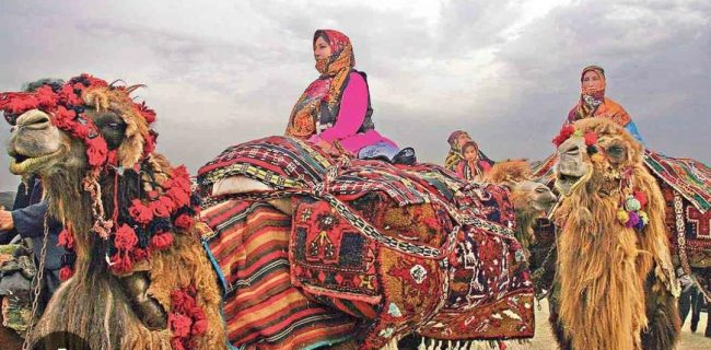 کوچ بی‌صدا؛ جان‌هایی که هر بهار از جاده عبور می‌کنند